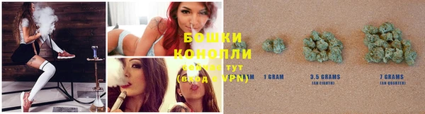 гашик Вязники