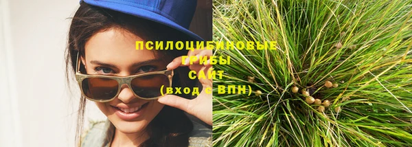 шишки Волосово