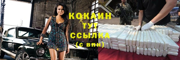 гашик Вязники