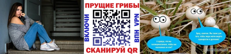 купить  сайты  Железноводск  mega зеркало  Галлюциногенные грибы мухоморы 